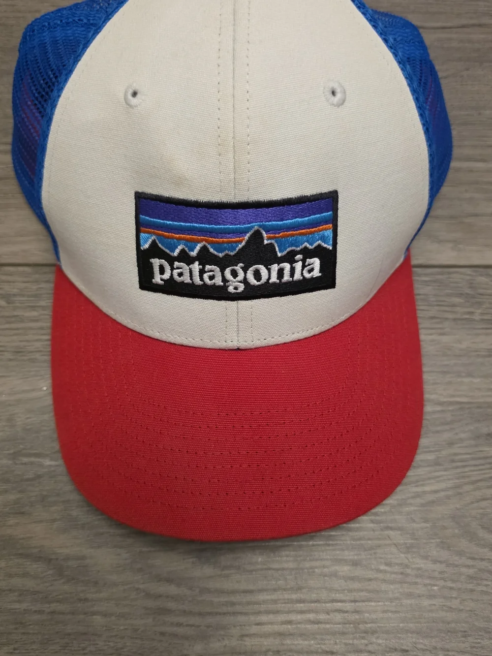 Patagonia trucker hat